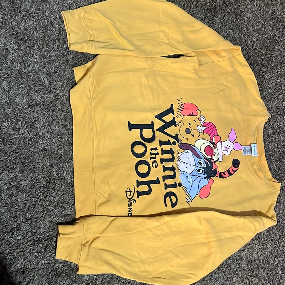 Women’s large, Disney pool and Friend sweatshirt